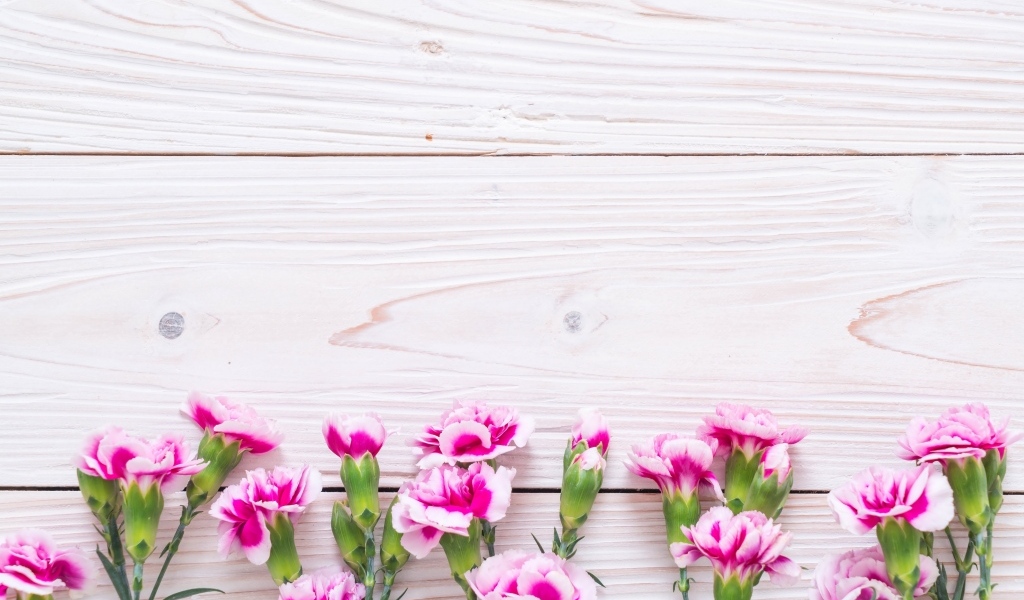 Много розовых цветов гвоздики на деревянном фоне