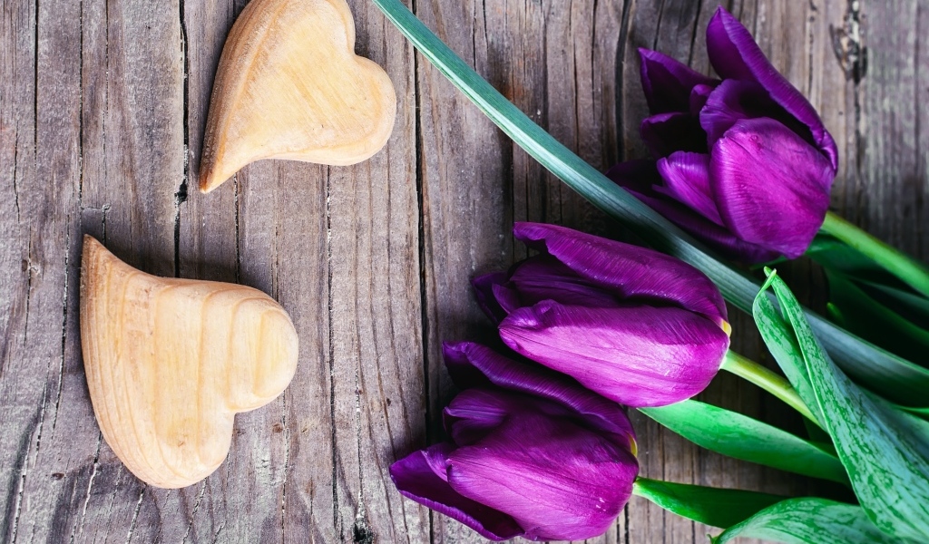 Фиолетовые тюльпаны с деревянными сердечками