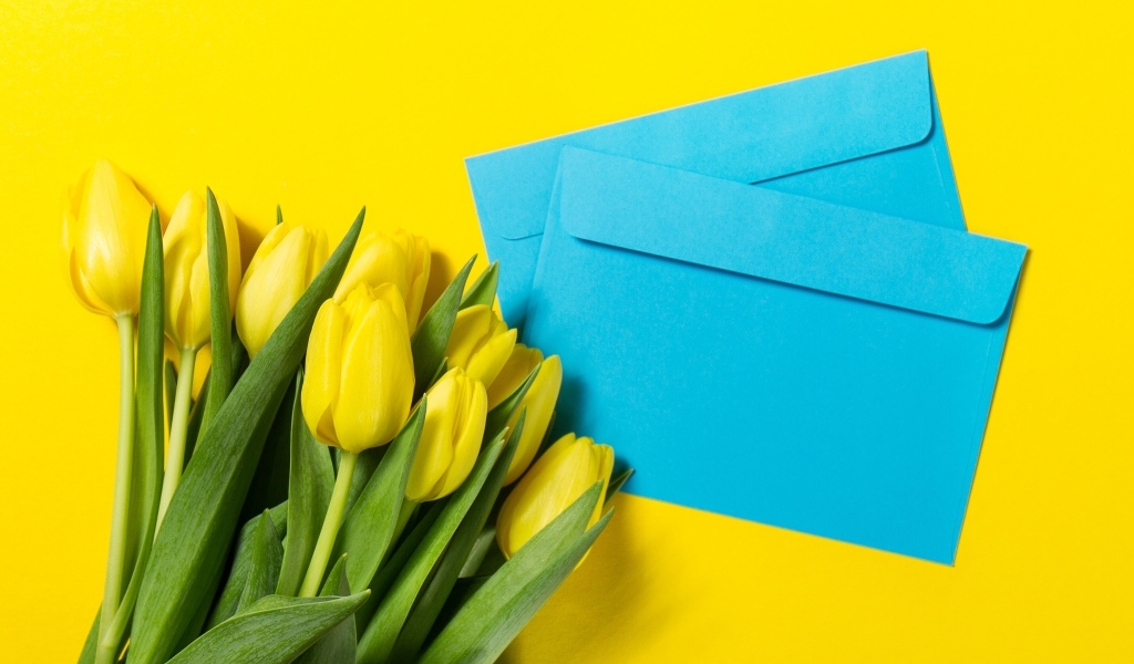 Два синих конверта с тюльпанами на желтом фоне
