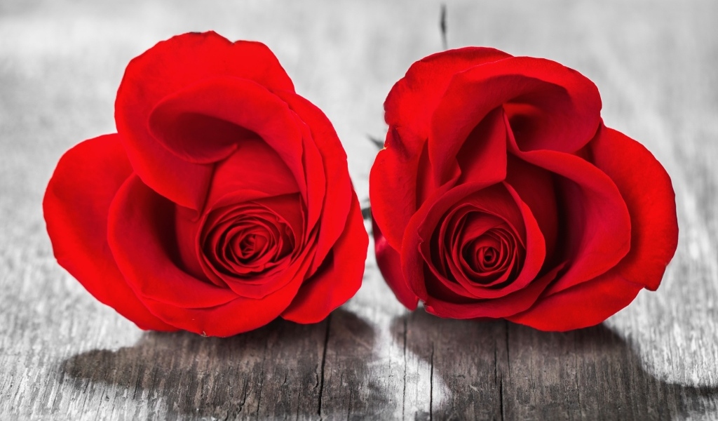 Две красные розы на деревянном столе