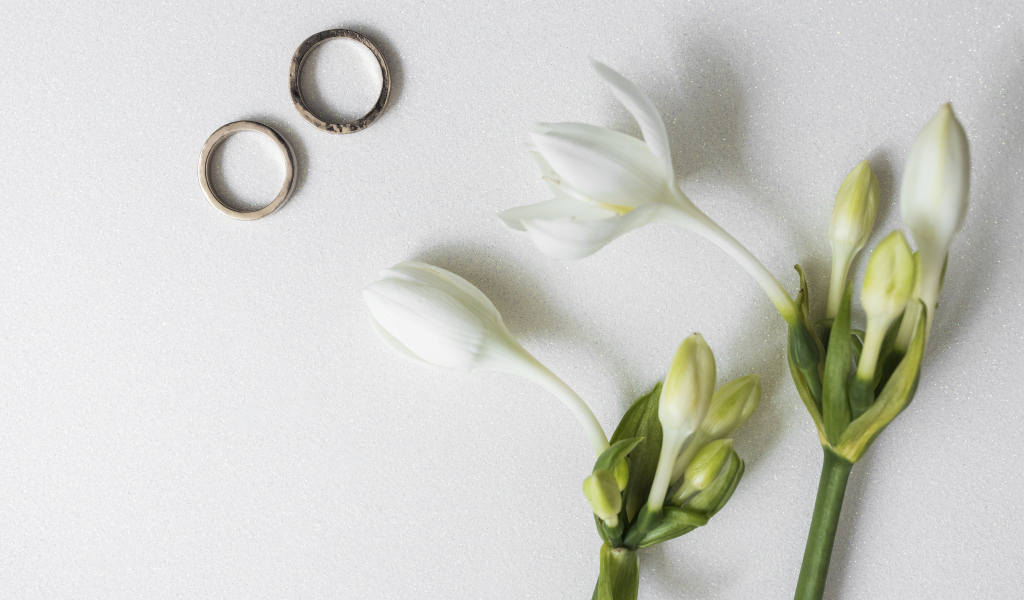 Два оручальных кольца с цветами на сером фоне