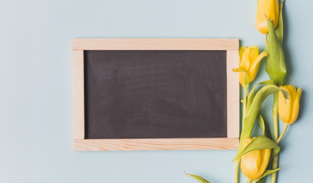 Желтые тюльпаны с рамкой для фона на сером фоне