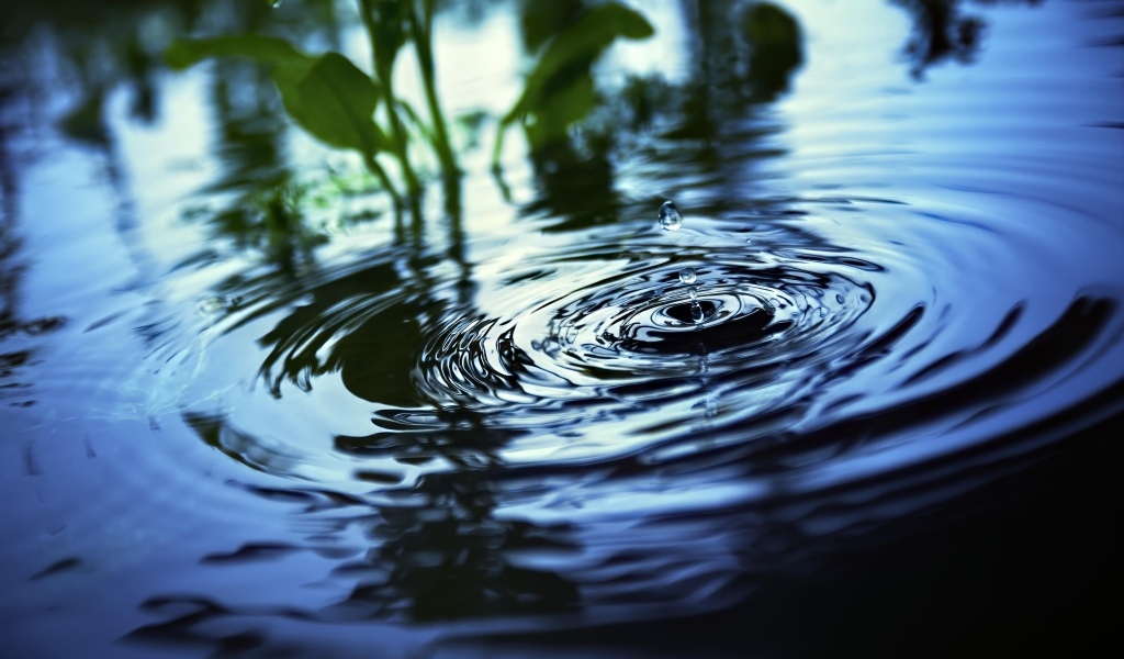 Круги и брызги на воде 