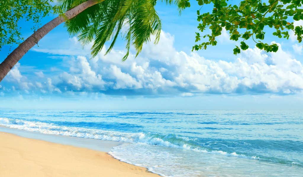 Голубая вода океана омывает песок тропического пляжа