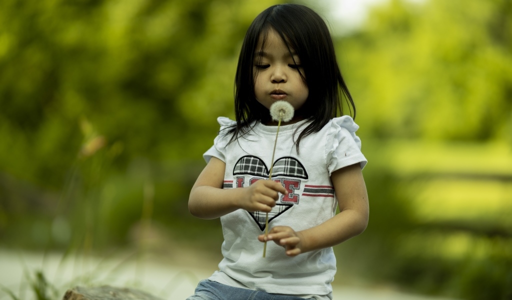 Маленькая девочка азиатка с одуванчиком в руках