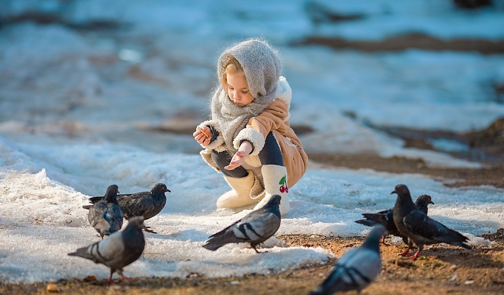 Маленькая девочка кормит голубей зимой