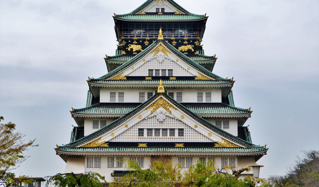 Красивое здание дворца, Япония