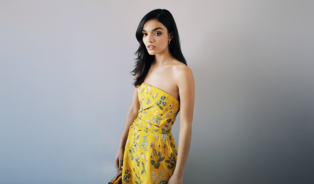 Милая молодая брюнетка актриса Рэйчел Зеглер на сером фоне