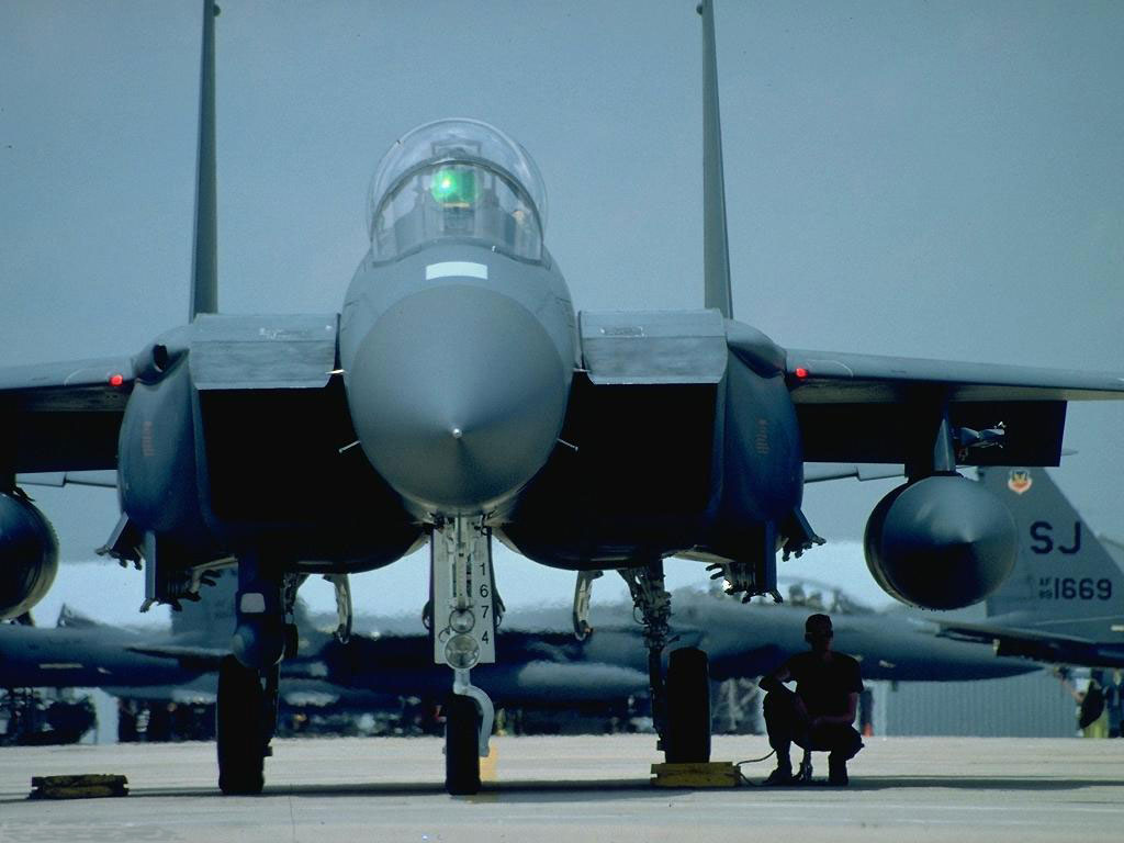 Крылатые воины