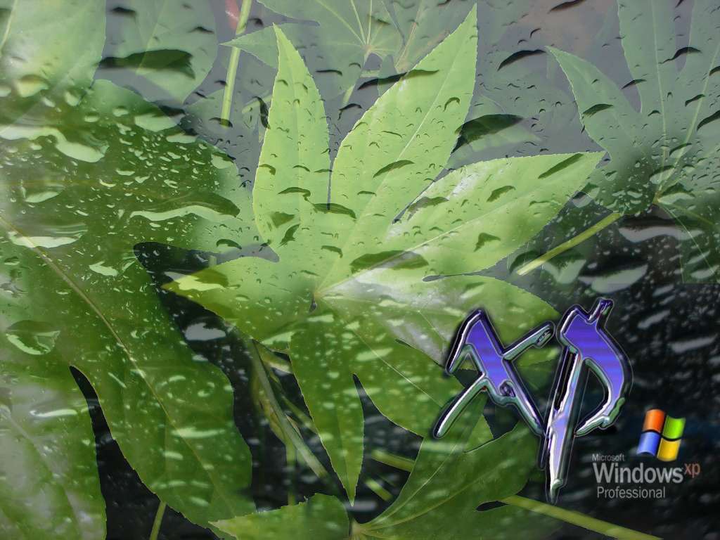 Тема Windows XP