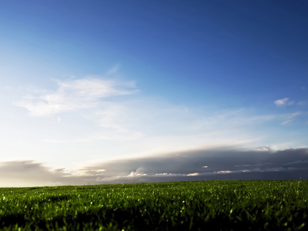 Зеленые поля Швеции