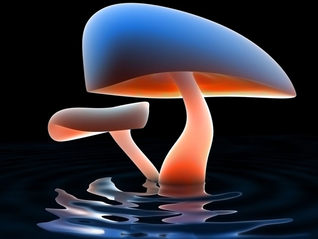 Грибное озеро