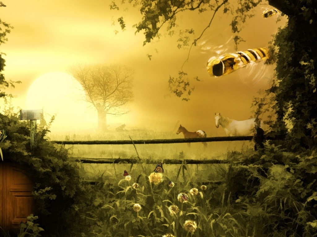 Две лошадки