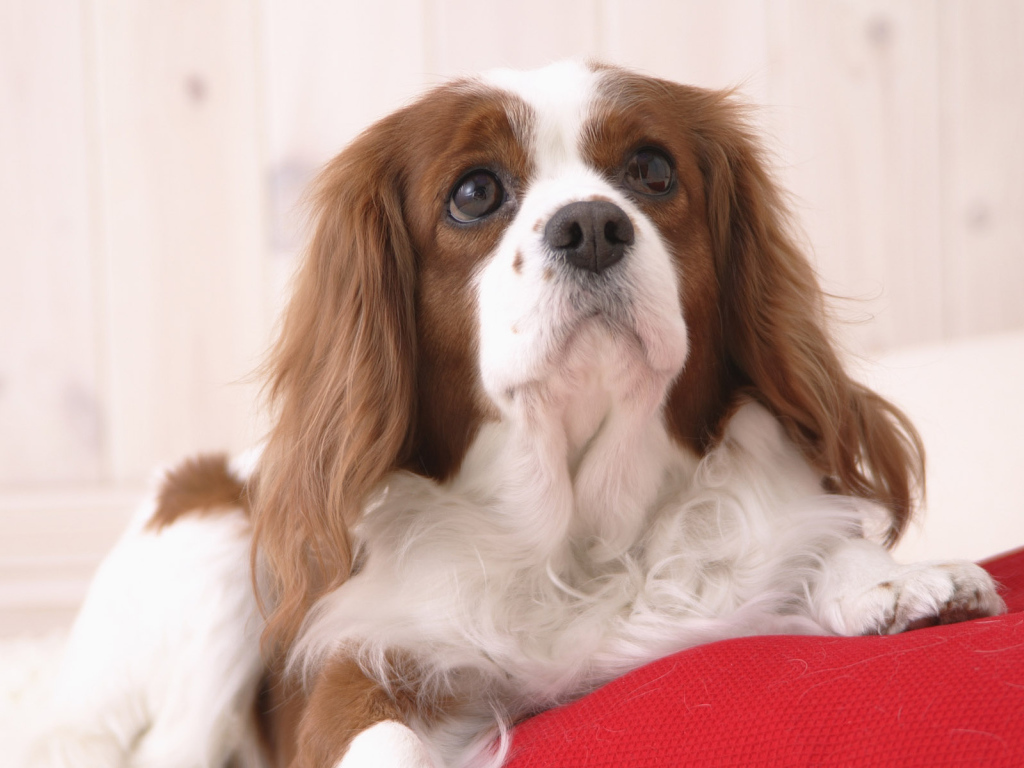 Пробуждение