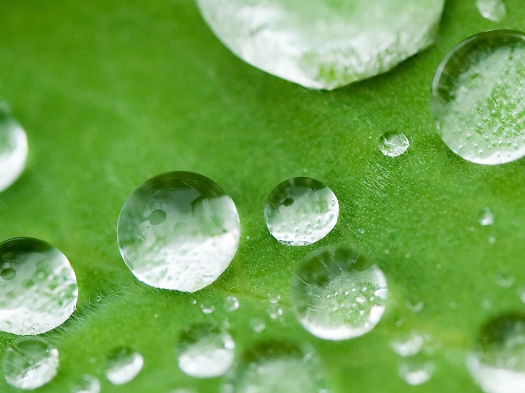 Капли, дождь