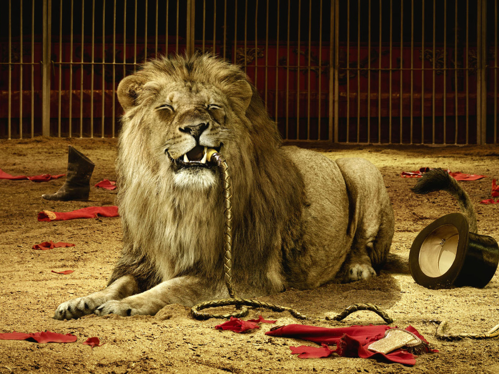 Плохой дрессировщик