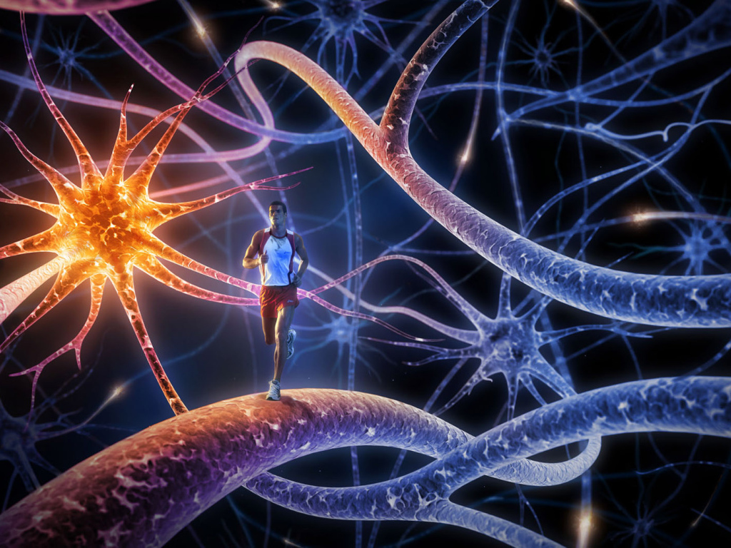 Ходьба по нервам