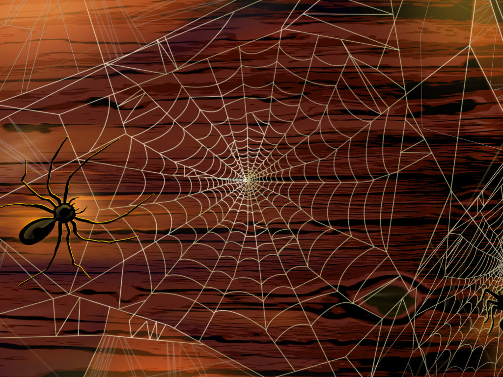 Хэллоуин / Паутина