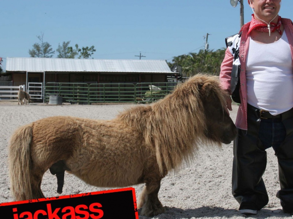 Чудаки 2 / Jackass 2