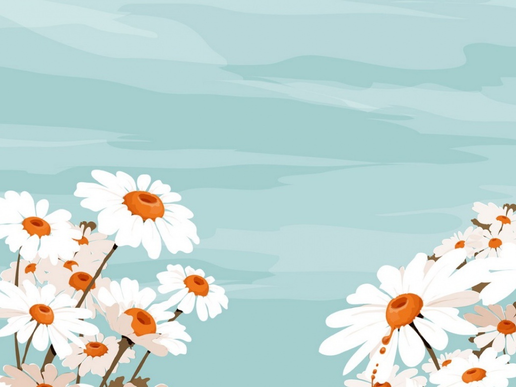 Белые цветы и небо, Цветы