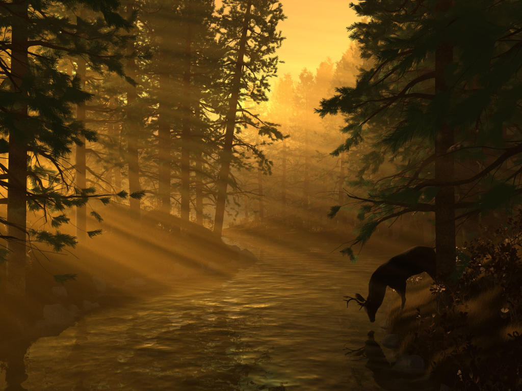 Лесная река