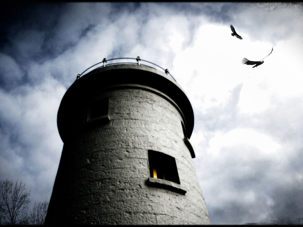 Башня и вороны