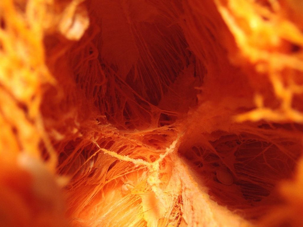 Внутренняя тыква