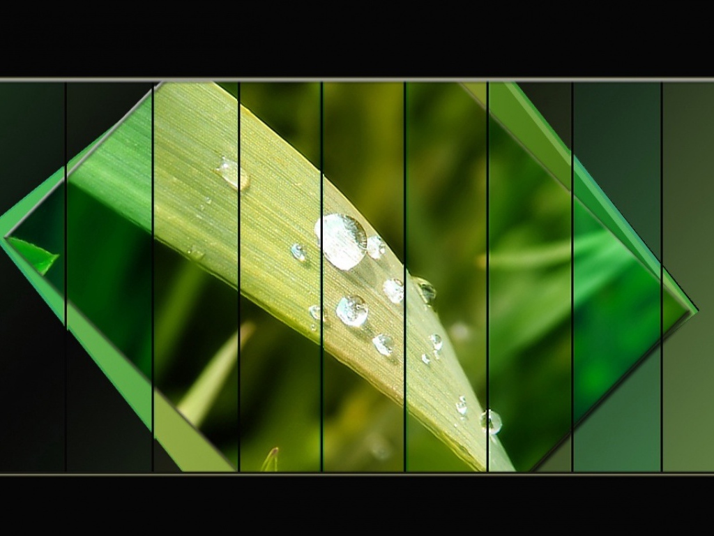 Светло-зеленый лист