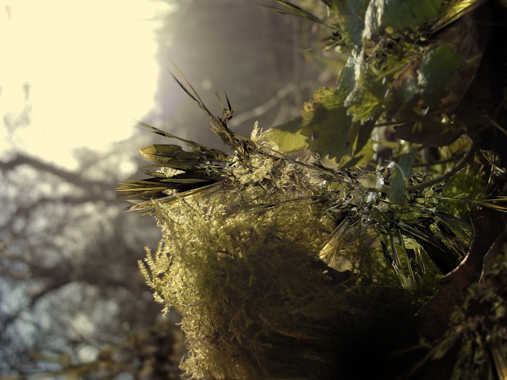 Заостренные листья