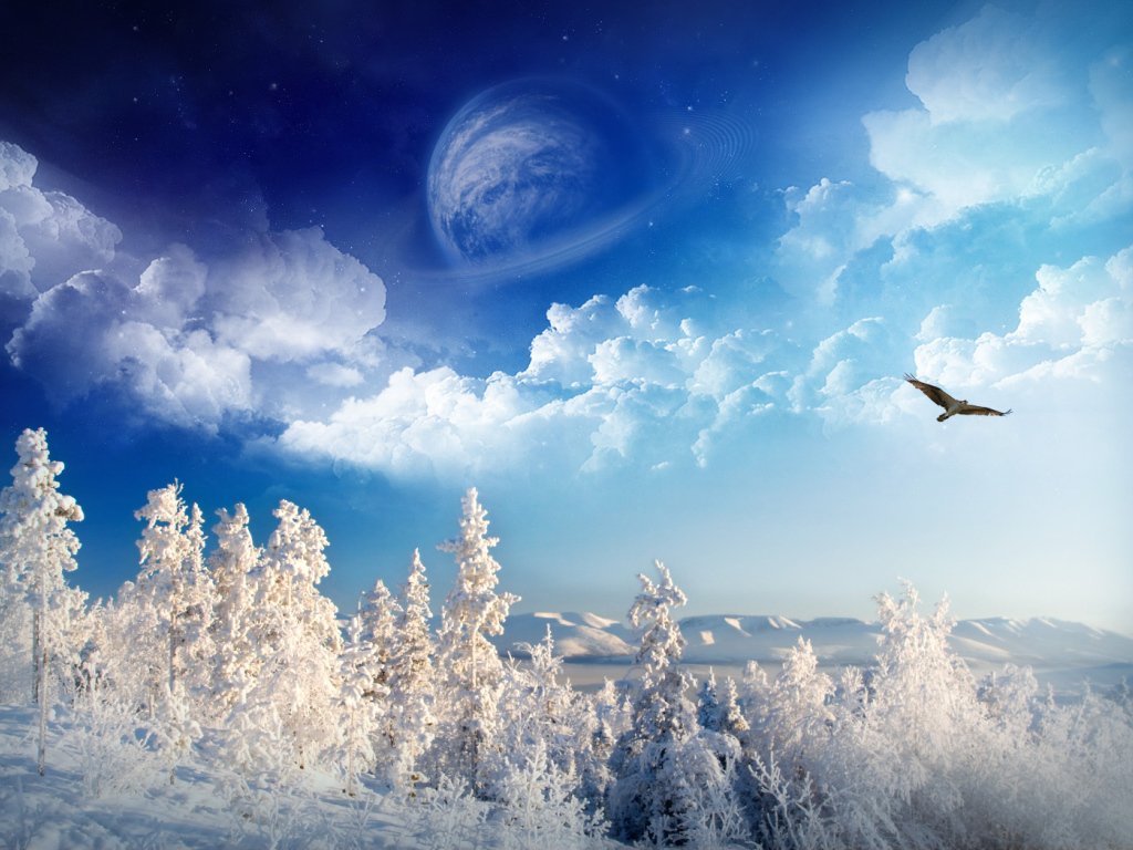 Зимняя страна чудес