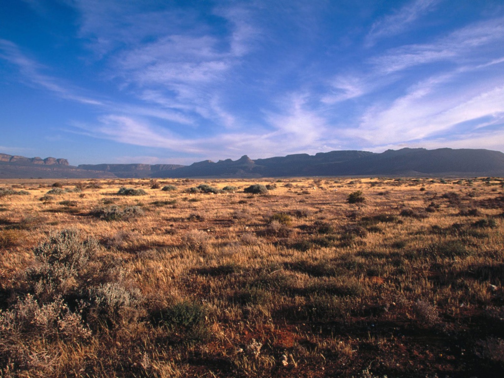 Karoo - Кару / Африка