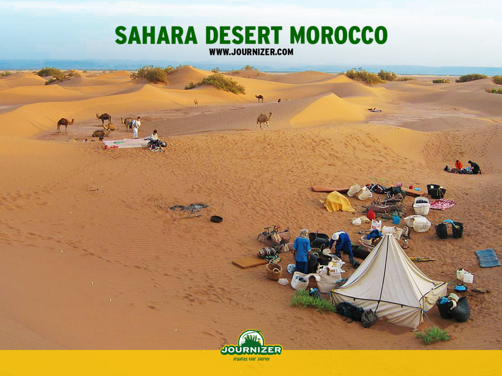 Пустыня сахара / Африка