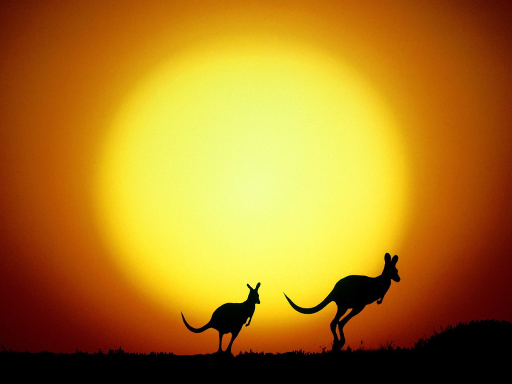 The kangaroo hop