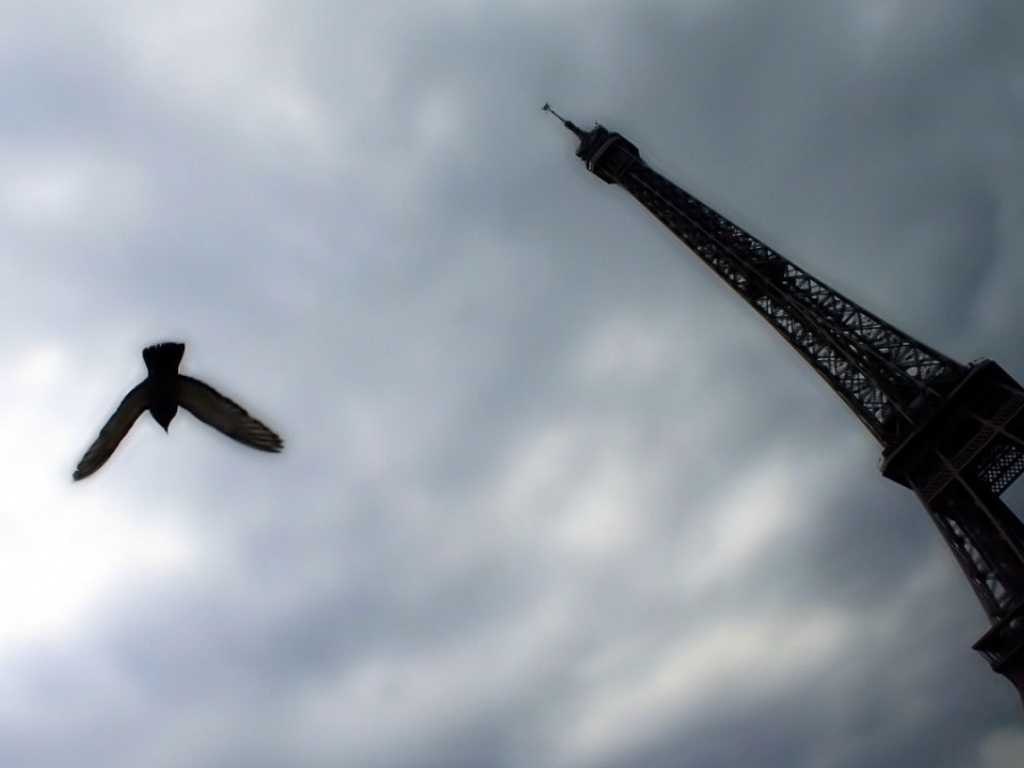 Различная точка обзора