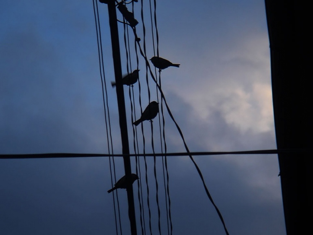 Ночное море