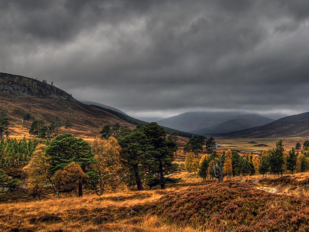 Дымчатые топазы Шотландии