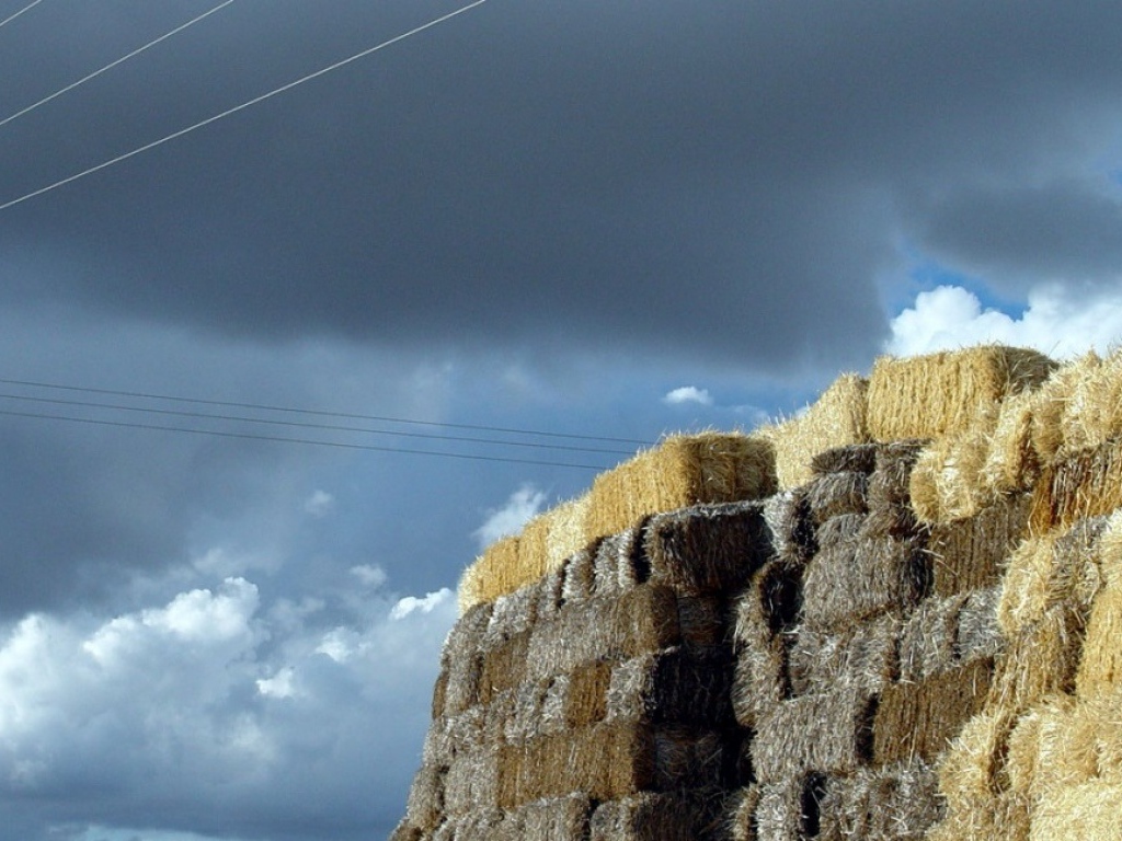 Avila Испания