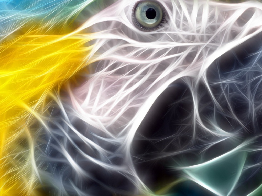 Разноцветный попугай