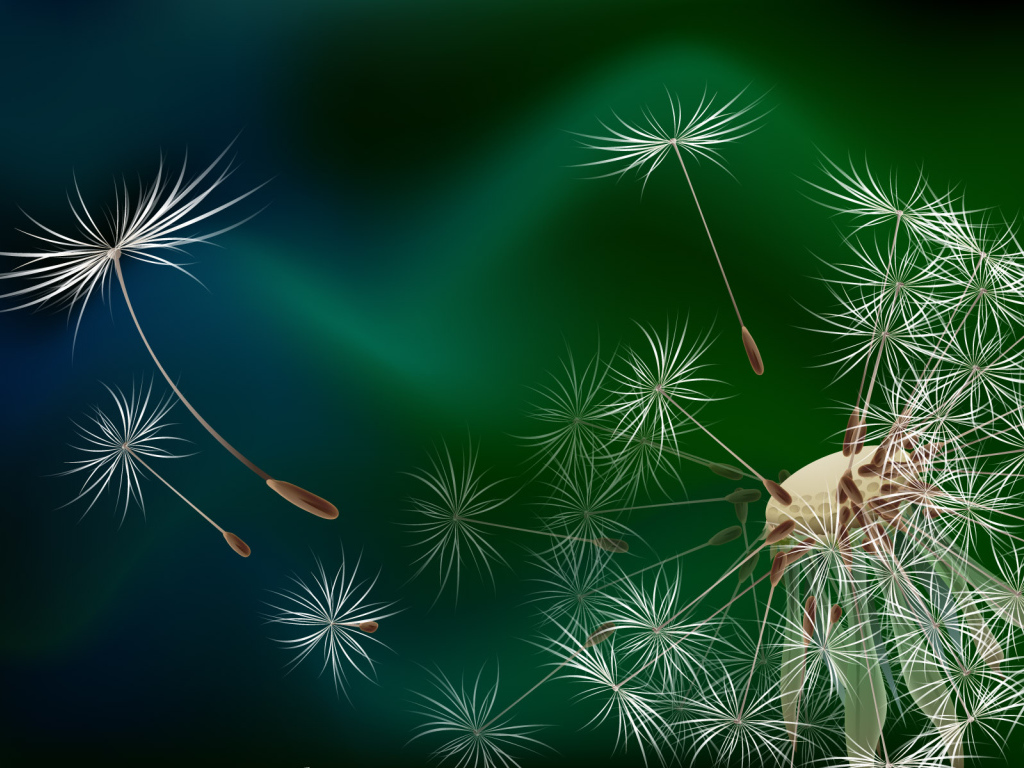 Семена одуванчика