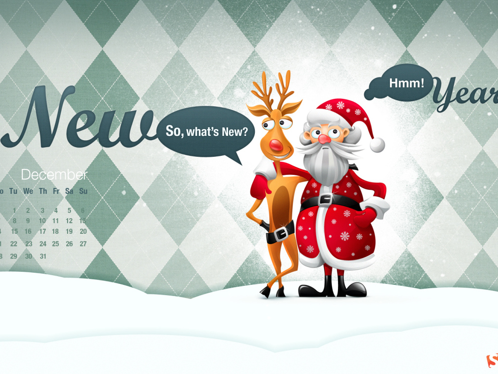 Новый год 2010