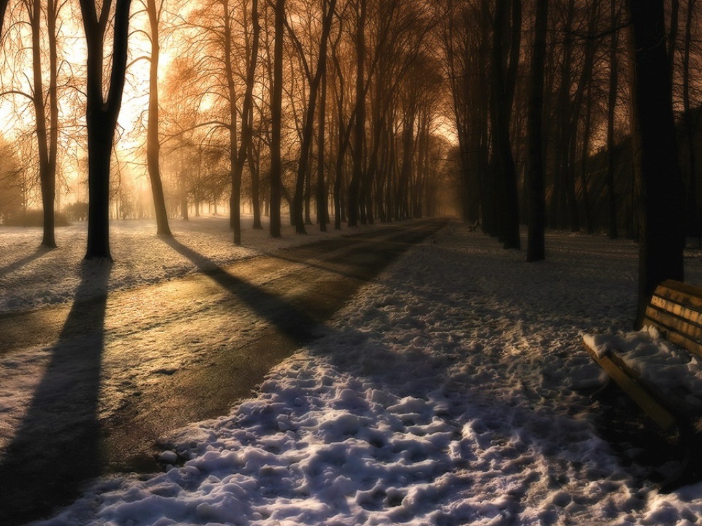 Дорога в парк