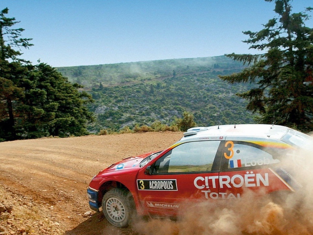 Ралли автомобиль