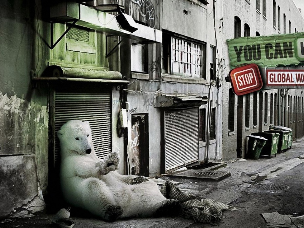 Медведь в городе