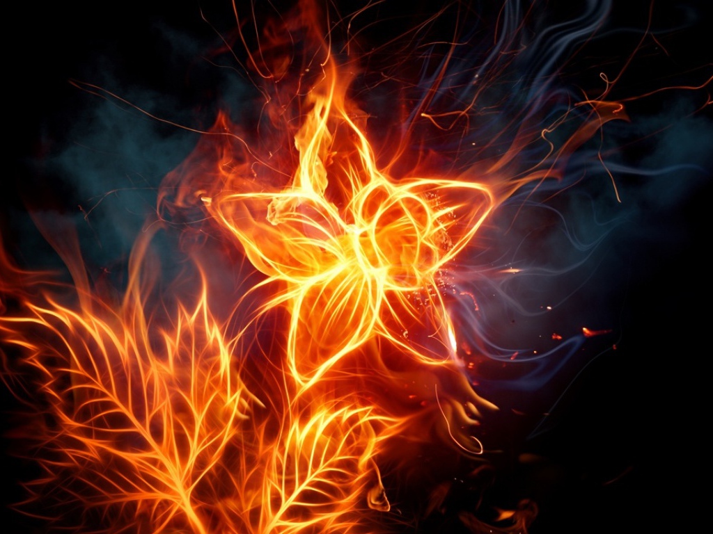 Пылающее растение