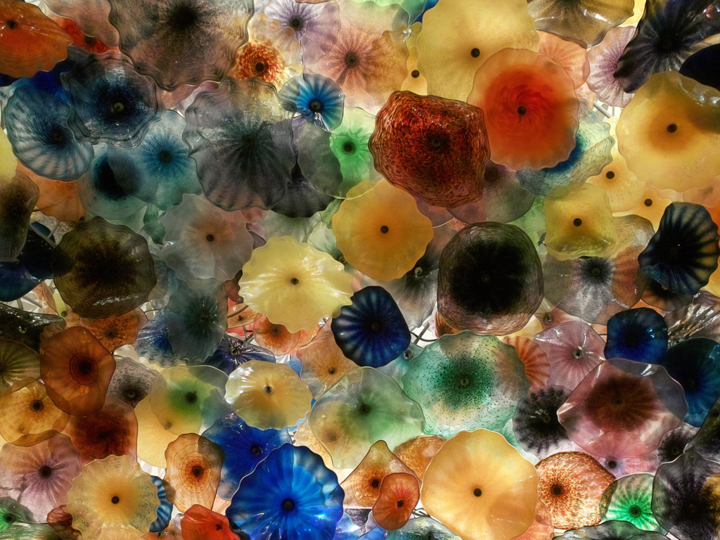 Разноцветные медузы