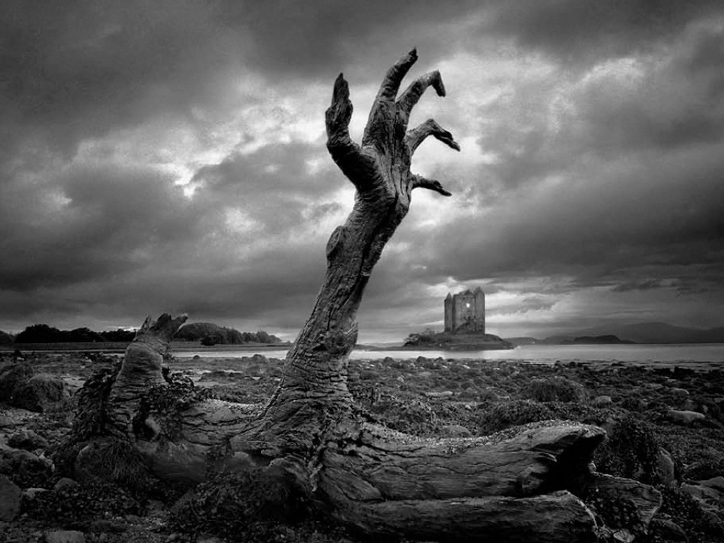 Когтистое полено