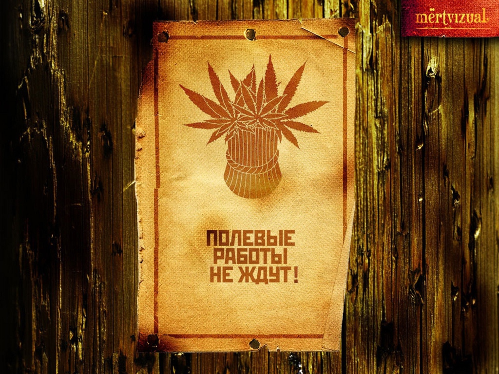 Сбор веселого урожая