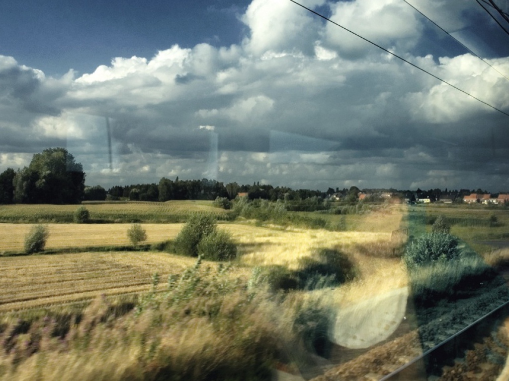 Мир за окном