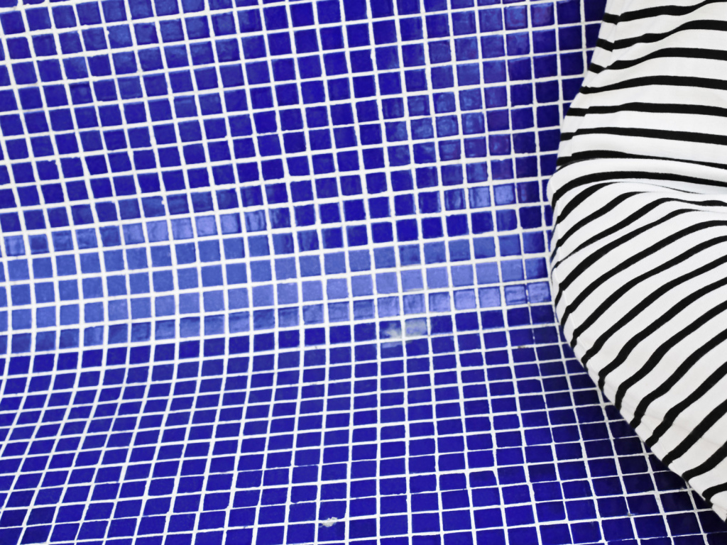 Зебра в бассейне