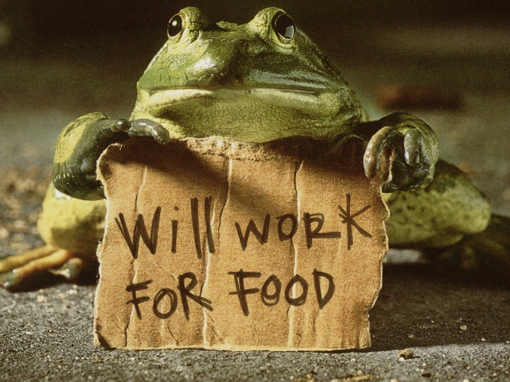 Готов работать за еду